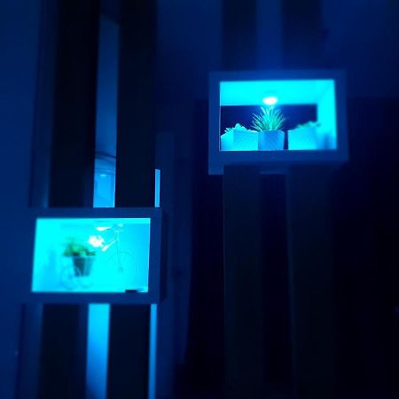 Sunny Studio Năvodari Εξωτερικό φωτογραφία